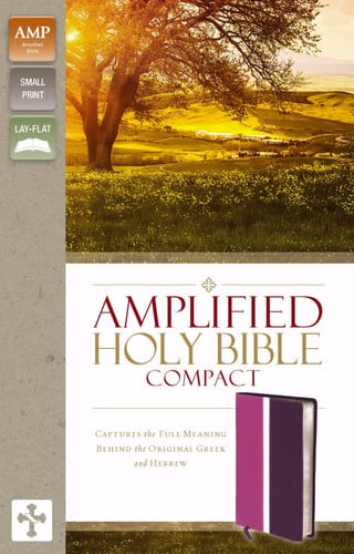 Amplified Holy Bible, Compact, Imitation Leather, Pink/Purple: Captures the Full Meaning Behind the Original Greek and Hebrew (Small Print)