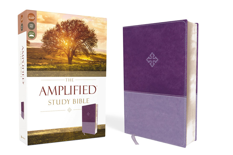 Amplified Study Bible [Purple]