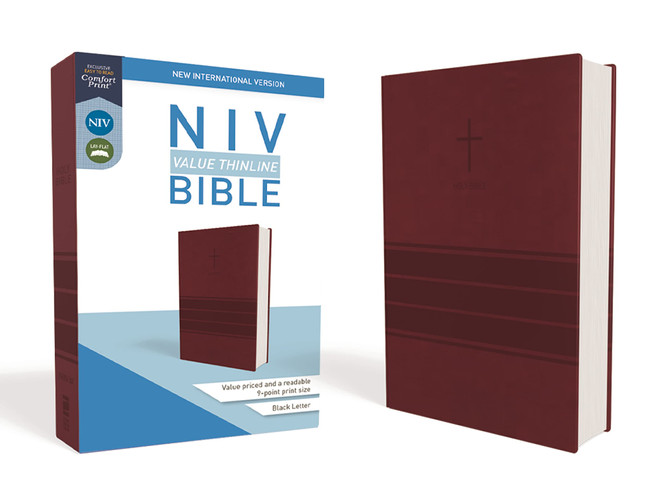 NIV Value Thinline Bible [Burgundy]