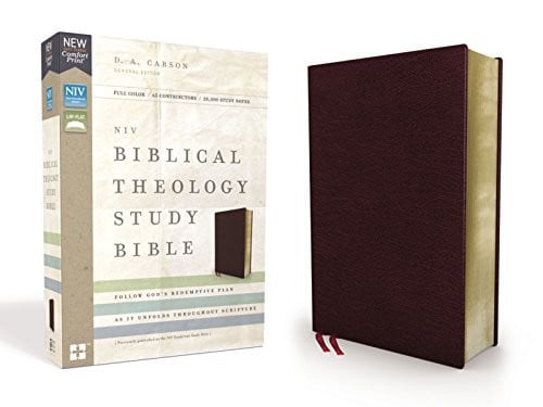 NIV Biblical Theology Study Bible [Burgundy]