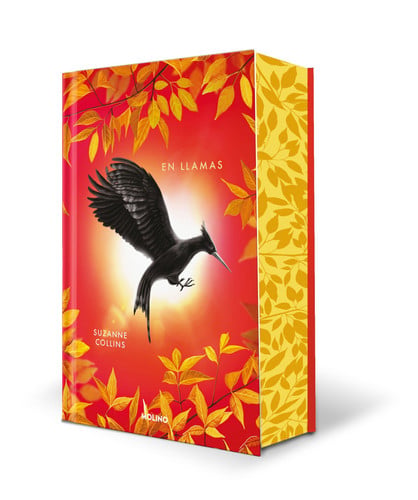En Llamas (Edición Especial Cantos Pintados) / Catching Fire (Special Edition Sprayed Edges)