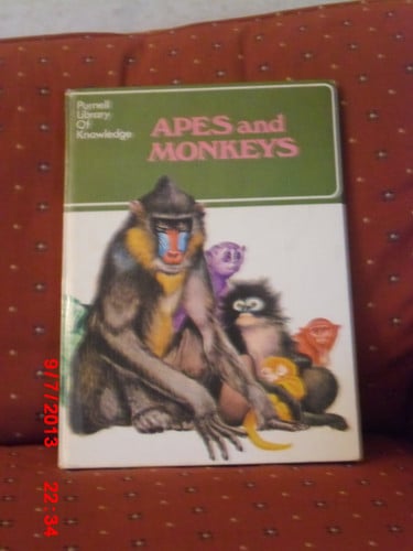Cover of Apes and monkeys