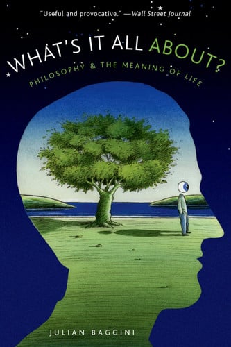 What's It All About? Philosophy and the Meaning of Life