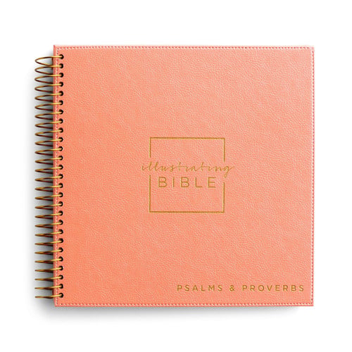 Illustrating Bible NIV: Books of Psalms & Proverbs (Spiral Bound Journaling Bible)