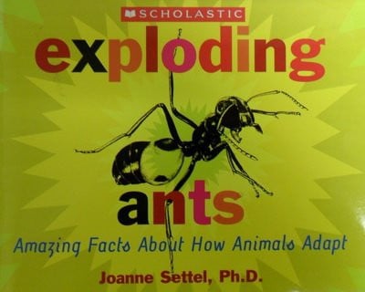Cover of Exploding Ants