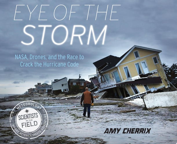 Cover of Eye of the Storm