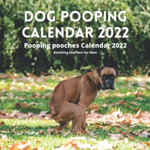 Stocking Stuffers for Men: Dog Pooping Calendar 2022: Pooping pooches Answering Natures Call Calendar 2022