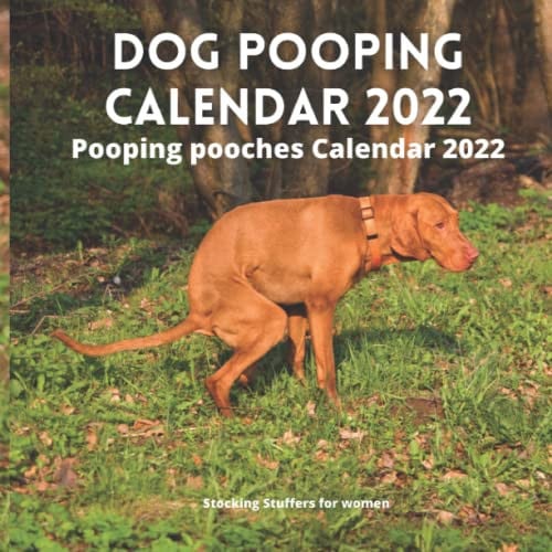Stocking Stuffers for Women: Dog Pooping Calendar 2022: Pooping pooches Answering Natures Call Calendar 2022