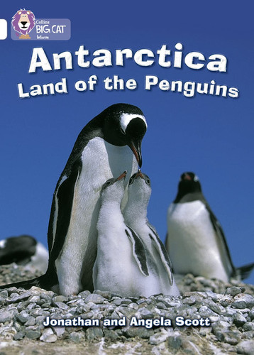 Antarctica Land of the Penguins Band 11/Lime