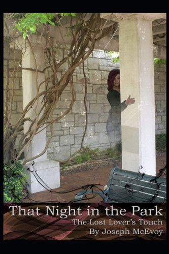 That Night in the Park The Lost Lover's Touch