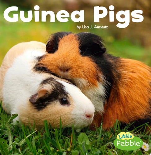 Cover of Guinea Pigs