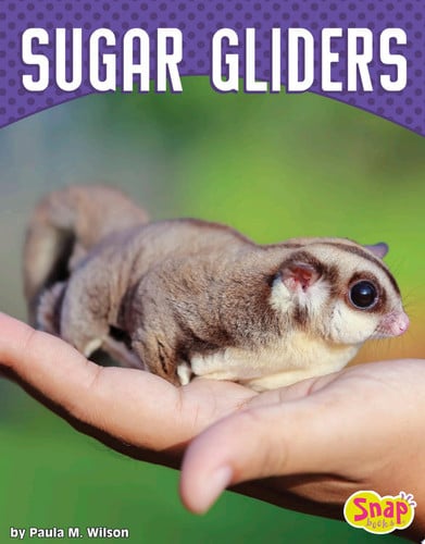 Cover of Sugar Gliders