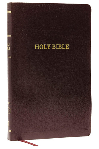 KJV Thinline Reference Bible Indexed Red Letter Edition [Burgundy]