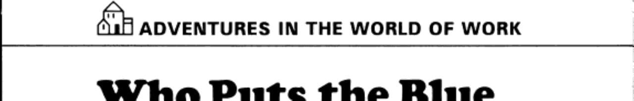 Cover of Who puts the blue in the jeans?