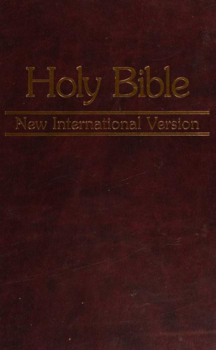 NIV Worship Edition Bibles #172 - Burgundy cover