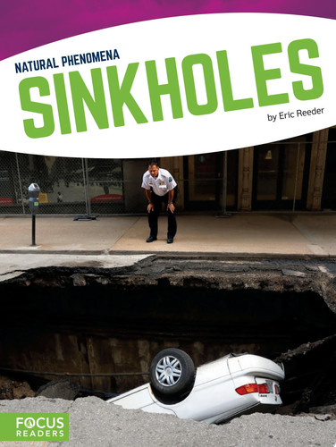 Cover of Sinkholes