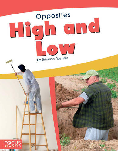 Cover of High and Low