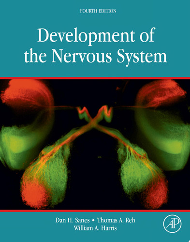 Development of the Nervous System