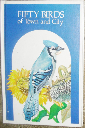 Cover of Fifty Birds of Town and City