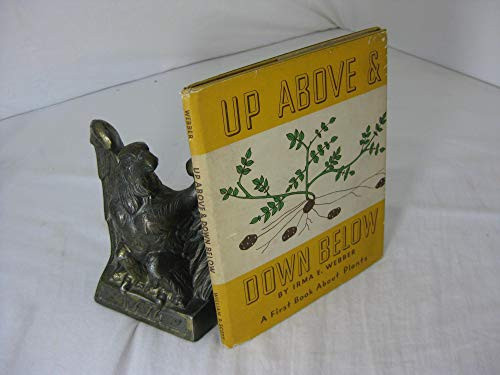 Cover of Up above and down below