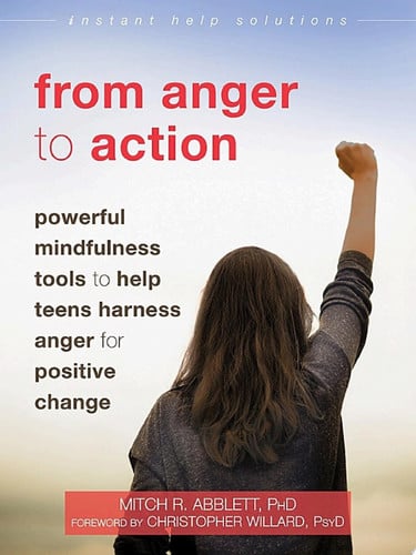 Cover of From Anger to Action