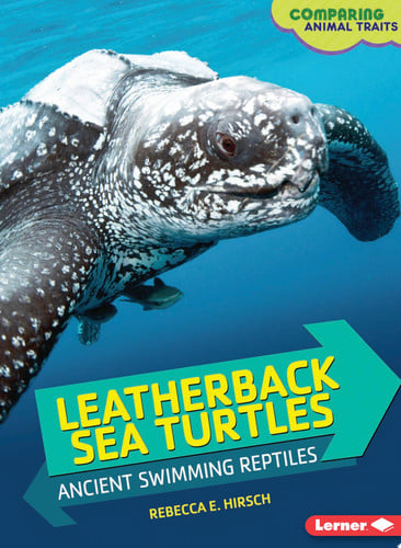 Cover of Leatherback Sea Turtles