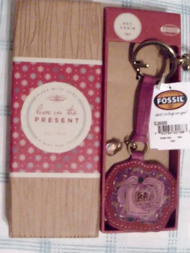 Cover of Fossil