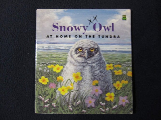 Cover of Snowy owl