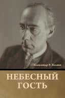 Небесный гость