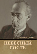 Небесный гость