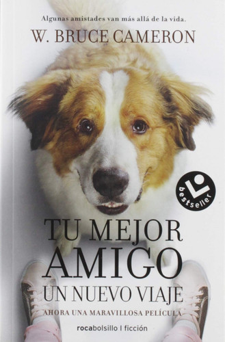 La Razon de Estar Contigo. Un Nuevo Viaje