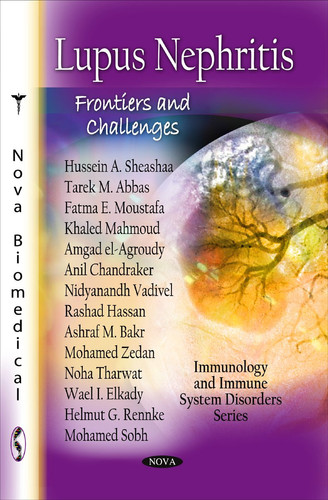 Lupus Nephritis Frontiers and Challenges