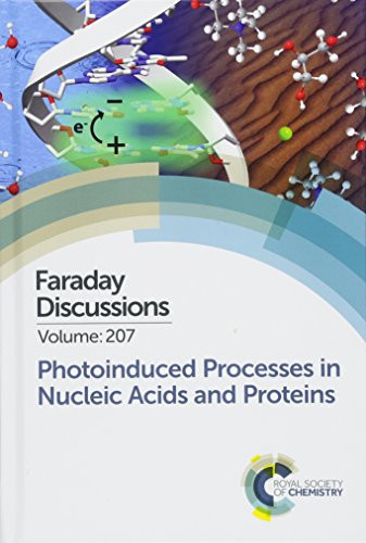Photoinduced Processes in Nucleic Acids and Proteins Faraday Discussion 207