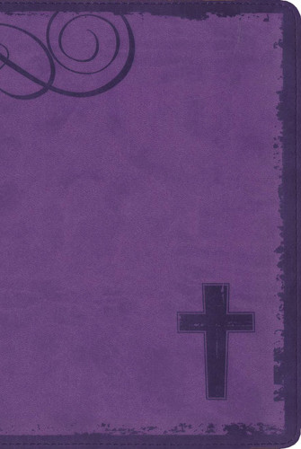 Rock Solid Faith Study Bible for Teens Build and Defend Your Faith Based on God's Promises