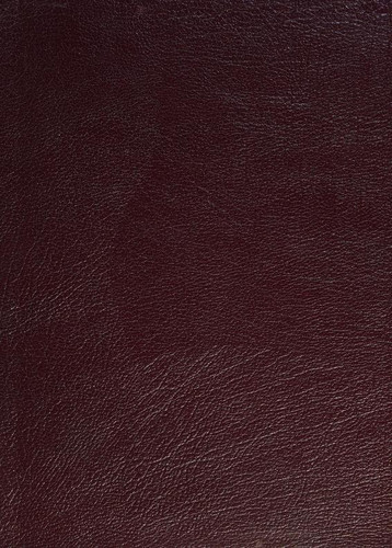 New Interpreter's Study Bible Genuine Leather Burgundy: New Revised Standard Version with Apocrypha