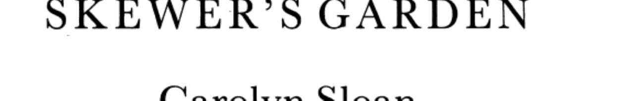 Cover of Skewer's Garden