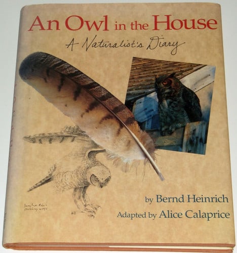 Cover of An Owl in the House
