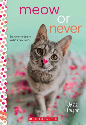 Cover of Meow or Never