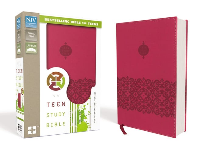 Teen Study Bible