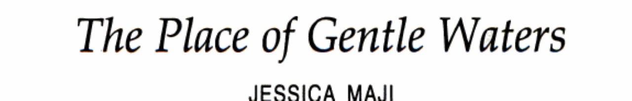 Cover of The Place of Gentle Waters (Heartbeats)