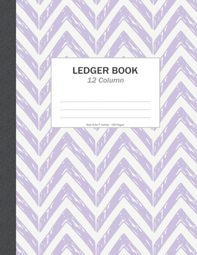 Ledger Book 12 Column: Accounting Ledger Book 12 Column, 120 pages , 8.5x11 inches ( Big size ) : for Bookkeeping, small business