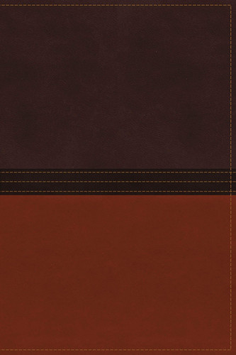 The MacArthur Study Bible