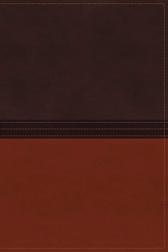 The MacArthur Study Bible