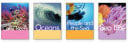 Cover of Ocean Facts