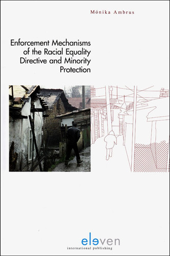 Enforcement Mechanisms of the Racial Equality Directive and Minority Protection