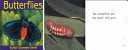 Cover of Animals Life Cycle