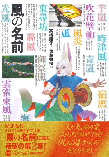 The name of the wind (2002) ISBN: 4096814326 [Japanese Import]