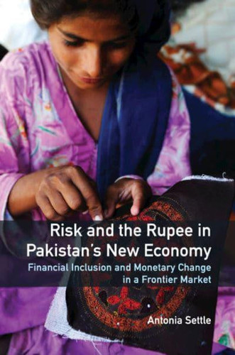 Risk and the Rupee in Pakistan's New Economy Financial Inclusion and Monetary Change in a Frontier Market