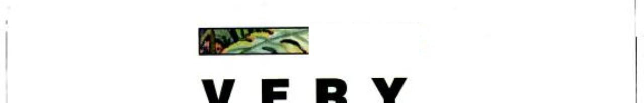 Cover of Very Big