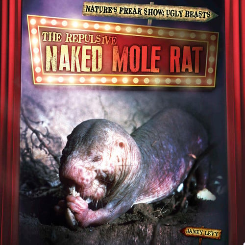 Cover of Repulsive Naked Mole Rat